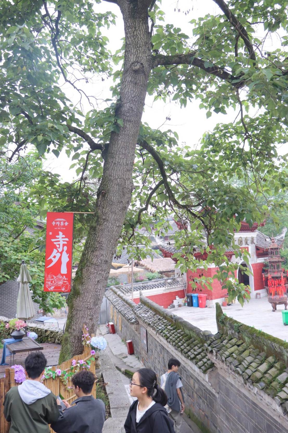 在寺外茶舍调研